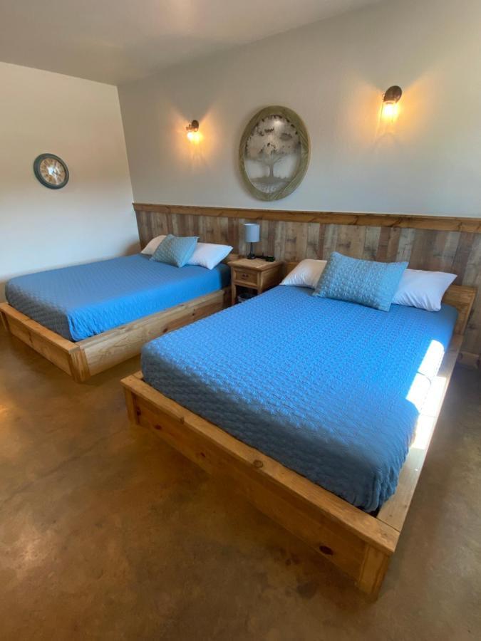 The Woods Lodging Kingston Стая снимка
