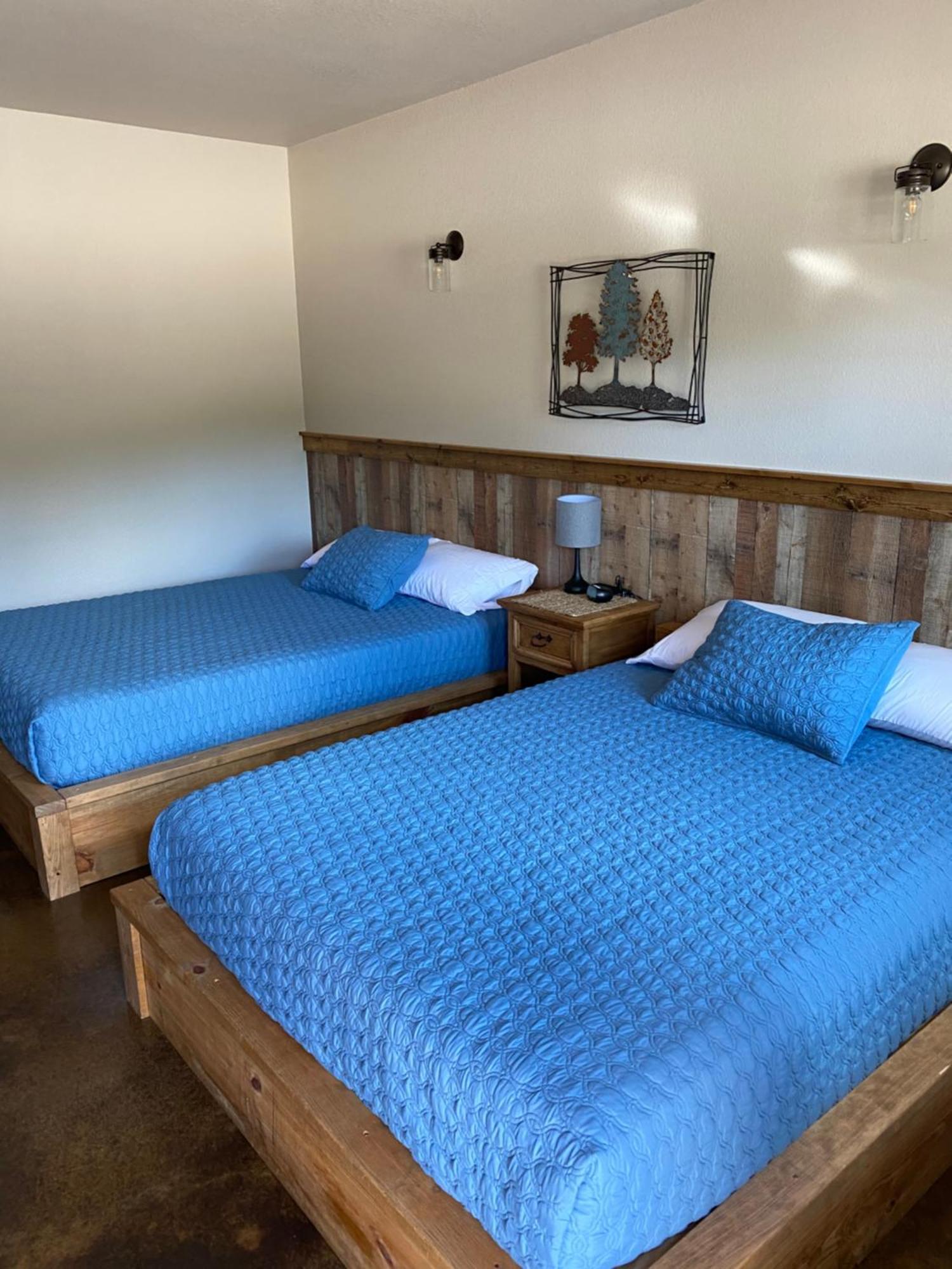 The Woods Lodging Kingston Стая снимка